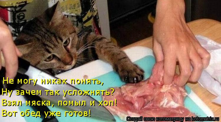 Котоматрица: Не могу никак понять, Ну зачем так усложнять? Взял мяска, помыл и хоп! Вот обед уже готов!