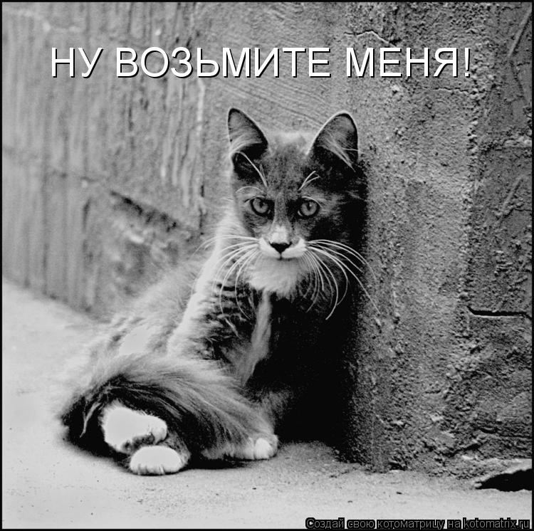 Котоматрица: НУ ВОЗЬМИТЕ МЕНЯ!