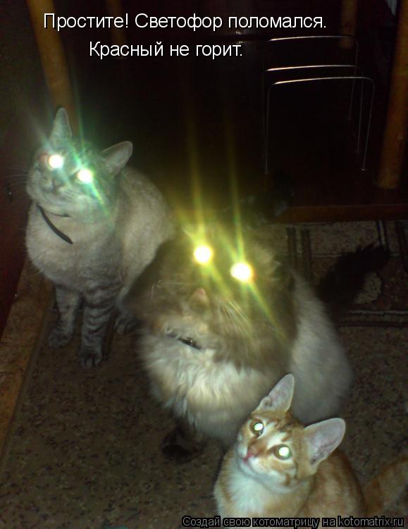 Простите! Светофор поломался. Красный не горит.... Котоматрица: Простите! Светофор поломался. Красный не горит.