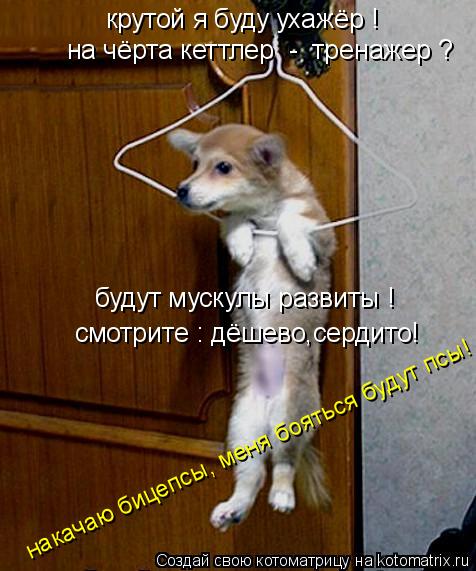 будут мускулы развиты ! смотрите : дёшево,сердито! крутой я буду ухажёр ! на чёрта кеттлер - тренаж... Котоматрица: будут мускулы развиты ! смотрите : дёшево,сердито! крутой я буду ухажёр ! на чёрта кеттлер - тренажер ? накачаю бицепсы, меня бояться будут пс