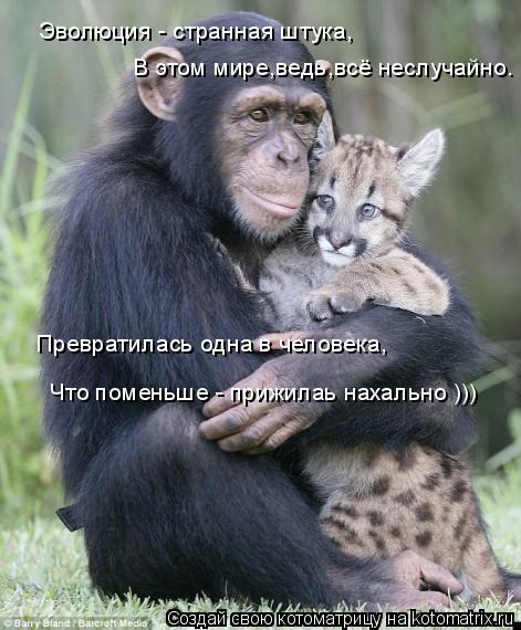 Эволюция - странная штука, В этом мире,ведь,всё неслучайно. Превратилась одна в человека, Что поменьш... Котоматрица: Эволюция - странная штука, В этом мире,ведь,всё неслучайно. Превратилась одна в человека, Что поменьше - прижилаь нахально )))