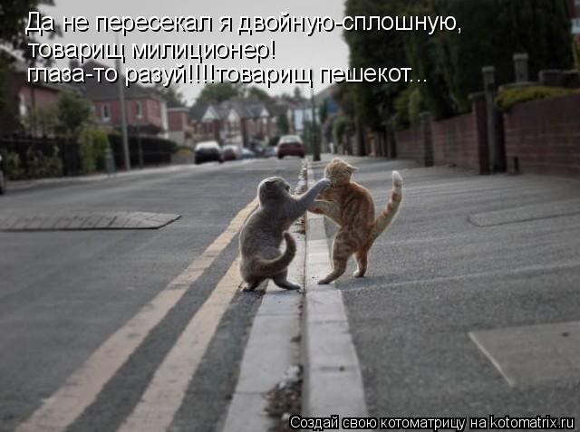 Да не пересекал я двойную-сплошную, товарищ милиционер! глаза-то разуй!!!!товарищ пешекот...... Котоматрица: Да не пересекал я двойную-сплошную, товарищ милиционер! глаза-то разуй!!!!товарищ пешекот...