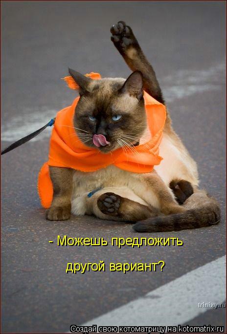 Котоматрица: - Можешь предложить другой вариант?