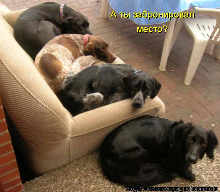 Котоматрица: А ты забронировал место?
