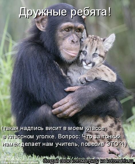 Котоматрица: Дружные ребята! (такая надпись висит в моем классе, в классном уголке. Вопрос: Что за тонкий намёк делает нам учитель, повесив ЭТО?!)