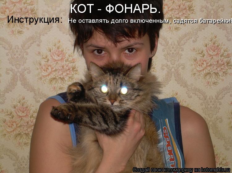 Котоматрица: КОТ - ФОНАРЬ. Инструкция: Не оставлять долго включенным, садятся батарейки!