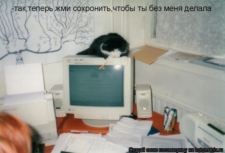 Котоматрица: -так,теперь жми сохронить,чтобы ты без меня делала