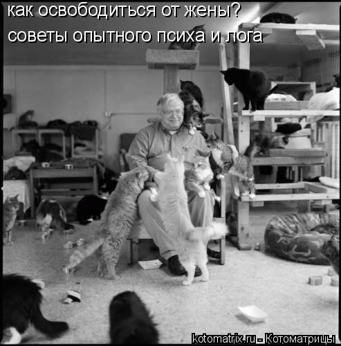 Котоматрица: как освободиться от жены? советы опытного психа и лога
