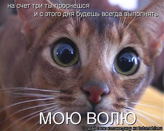 Котоматрица: на счет три ты проснешся и с этого дня будешь всегда выполнять  МОЮ ВОЛЮ