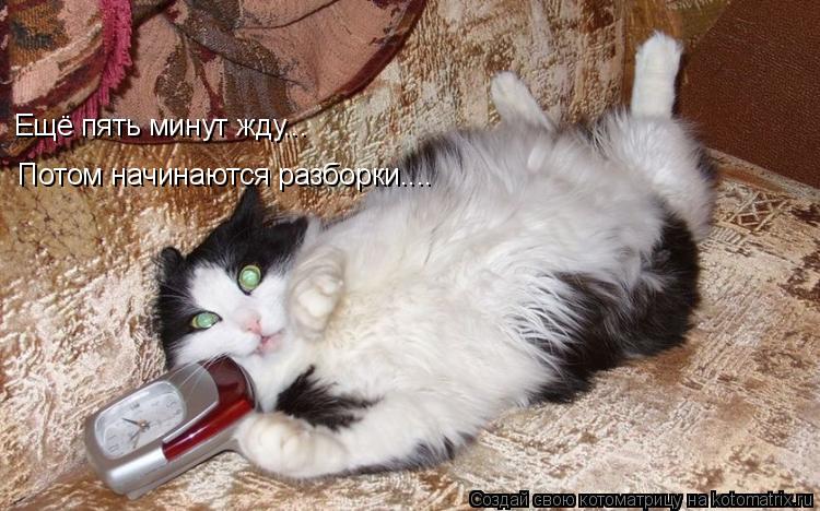 Котоматрица: Ещё пять минут жду... Потом начинаются разборки....