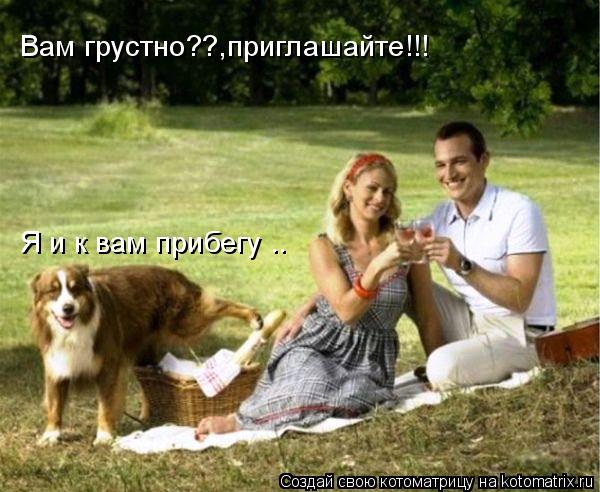 Котоматрица: Вам грустно??,приглашайте!!! Я и к вам прибегу ..