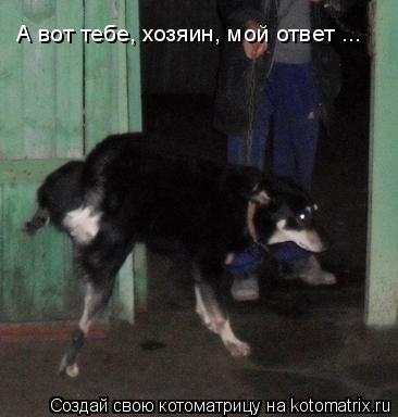 Котоматрица: А вот тебе, хозяин, мой ответ ...