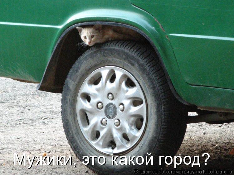 Мужики, это какой город?... Котоматрица: Мужики, это какой город?
