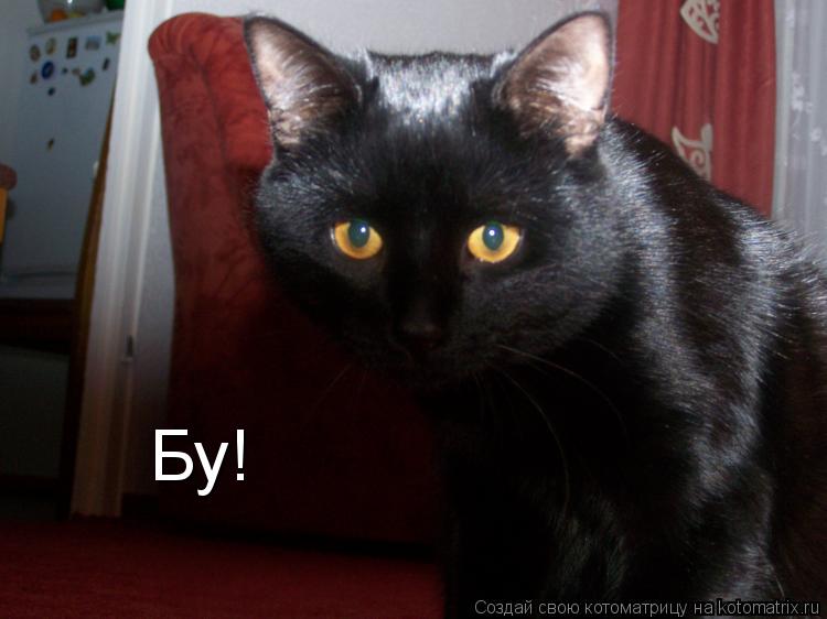 Котоматрица: Бу!