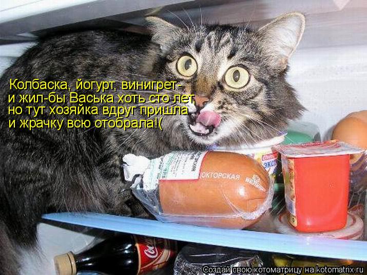 Котоматрица: Колбаска, йогурт, винигрет- и жил-бы Васька хоть сто лет, но тут хозяйка вдруг пришла и жрачку всю отобрала!(