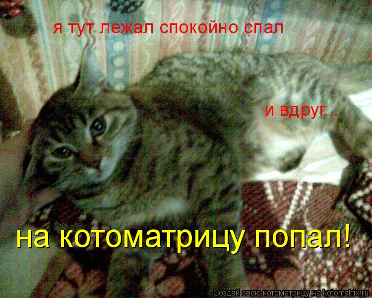 Котоматрица: я тут лежал спокойно спал и вдруг... на котоматрицу попал!