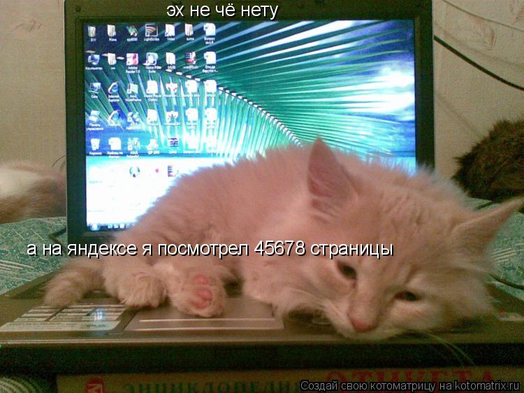 Котоматрица: эх не чё нету а на яндексе я посмотрел 45678 страницы