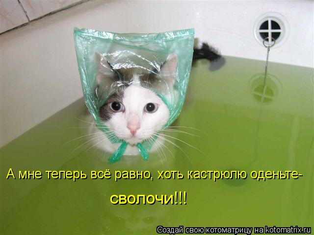 Котоматрица: А мне теперь всё равно, хоть кастрюлю оденьте- сволочи!!!