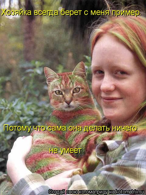 Котоматрица: Хозяйка всегда берет с меня пример. Потому что сама она делать ничего не умеет