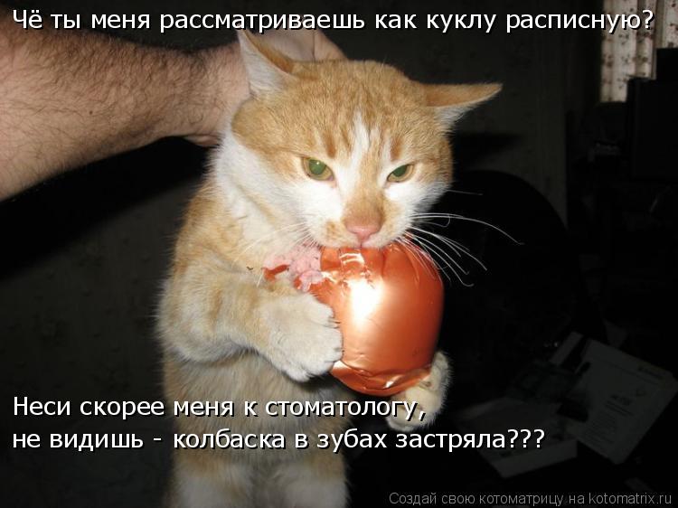 Котоматрица: Чё ты меня рассматриваешь как куклу расписную? Неси скорее меня к стоматологу, не видишь - колбаска в зубах застряла??? Чё ты меня рассматрив