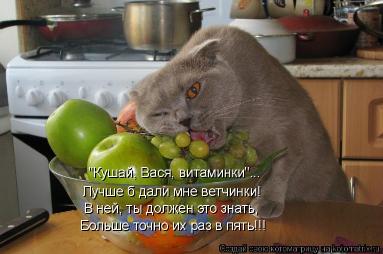 "Кушай, Вася, витаминки"... Лучше б дали мне ветчинки! В ней, ты должен это знать, Больше точно их ... Котоматрица: "Кушай, Вася, витаминки"... Лучше б дали мне ветчинки! В ней, ты должен это знать, Больше точно их раз в пять!!!