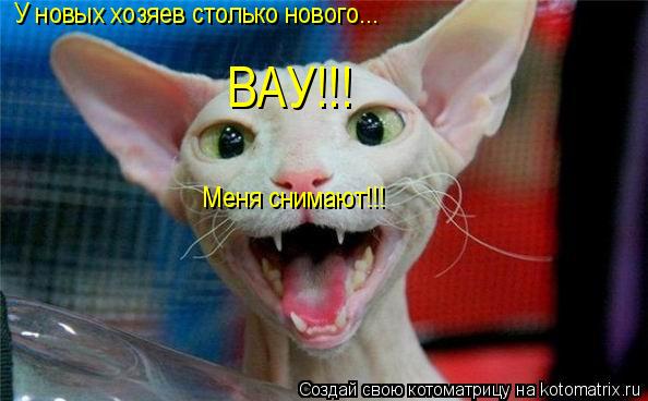 У новых хозяев столько нового... ВАУ!!! Меня снимают!!!... Котоматрица: У новых хозяев столько нового... ВАУ!!! Меня снимают!!!