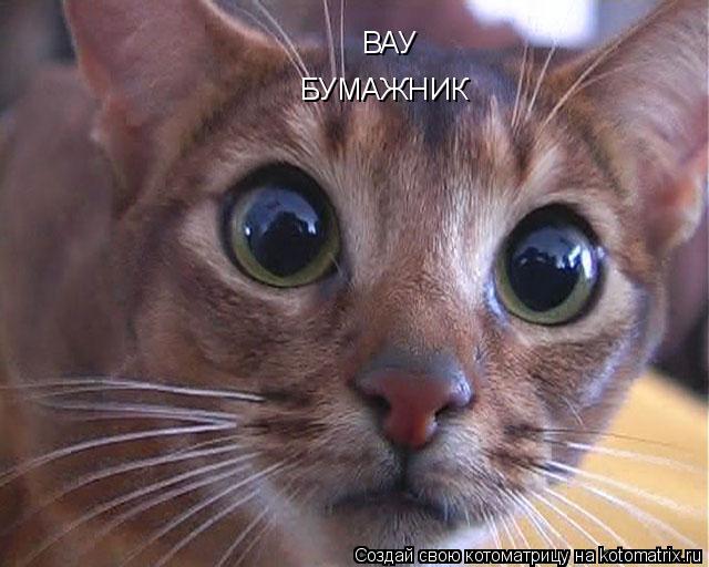ВАУ БУМАЖНИК... Котоматрица: ВАУ БУМАЖНИК