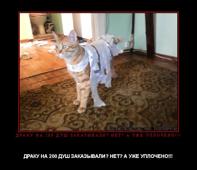 Котоматрица: ДРАКУ НА 200 ДУШ ЗАКАЗЫВАЛИ? НЕТ? А УЖЕ УПЛОЧЕНО!!! ДРАКУ НА 200 ДУШ ЗАКАЗЫВАЛИ? НЕТ? А УЖЕ УПЛОЧЕНО!!!