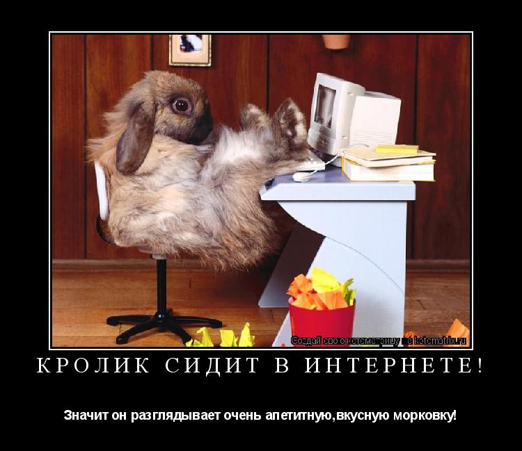 Кролик сидит в интернете! Значит он разглядывает очень апетитную,вкусную морковку!... Котоматрица: Кролик сидит в интернете! Значит он разглядывает очень апетитную,вкусную морковку!