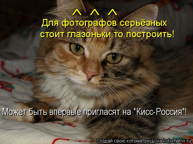 Котоматрица: Для фотографов серьёзных стоит глазоньки то построить! ^ ^ ^ Может быть впервые пригласят на "Кисс-Россия"!