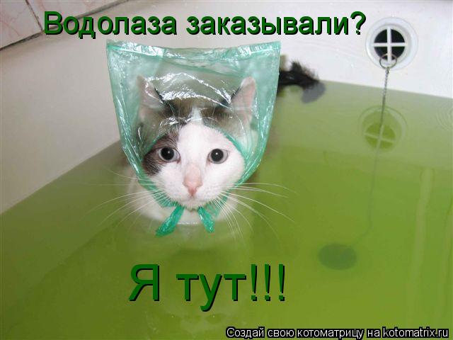 Котоматрица: Водолаза заказывали? Я тут!!!