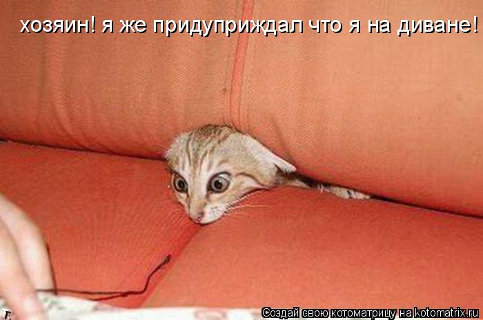 Котоматрица: хозяин! я же придуприждал что я на диване!