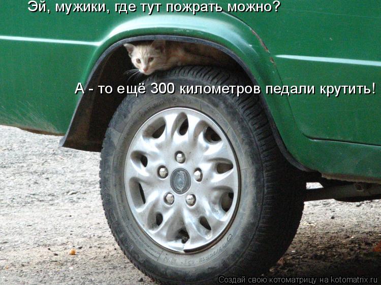 Котоматрица: Эй, мужики, где тут пожрать можно? А - то ещё 300 километров педали крутить!