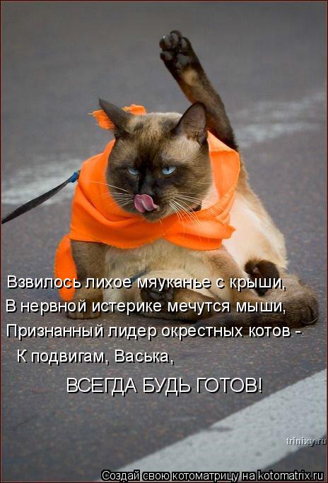 Взвилось лихое мяуканье с крыши, В нервной истерике мечутся мыши, Признанный лидер окрестных котов - ... Котоматрица: Взвилось лихое мяуканье с крыши, В нервной истерике мечутся мыши, Признанный лидер окрестных котов - К подвигам, Васька, ВСЕГДА БУДЬ ГОТОВ!