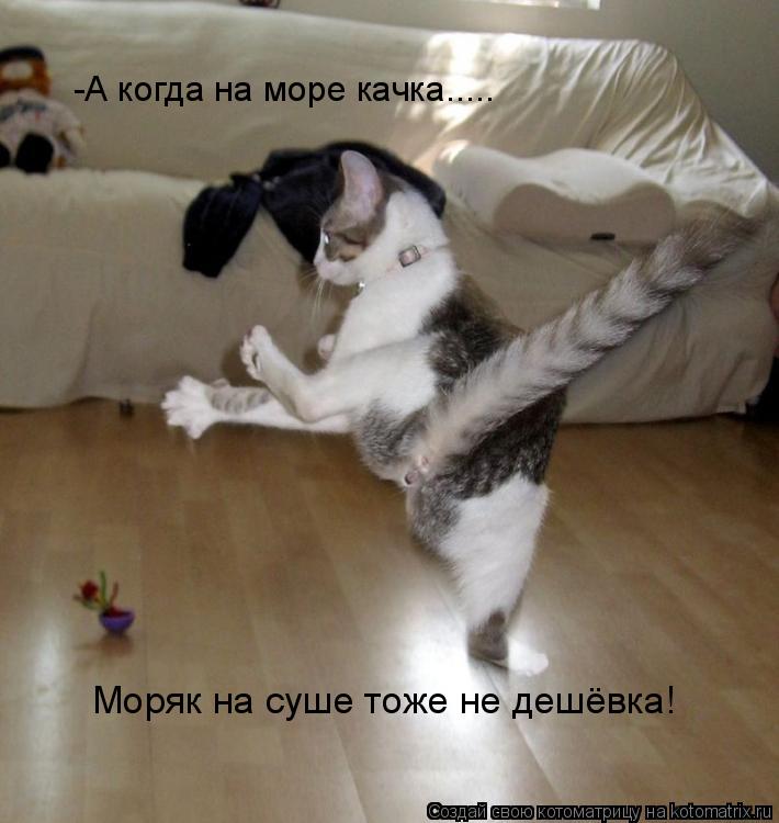 Котоматрица: Моряк на суше тоже не дешёвка! -А когда на море качка.....