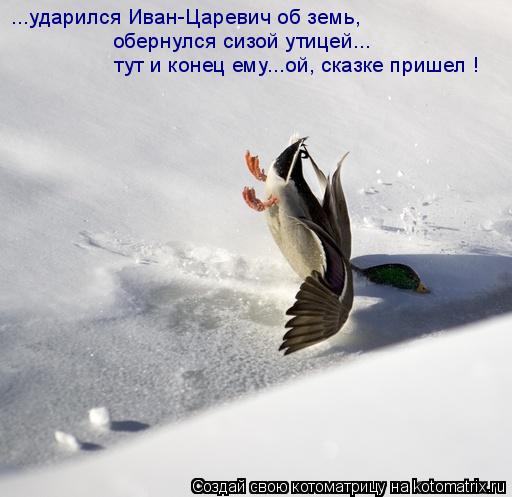 Котоматрица: обернулся сизой утицей... тут и конец ему...ой, сказке пришел ! ...ударился Иван-Царевич об земь,