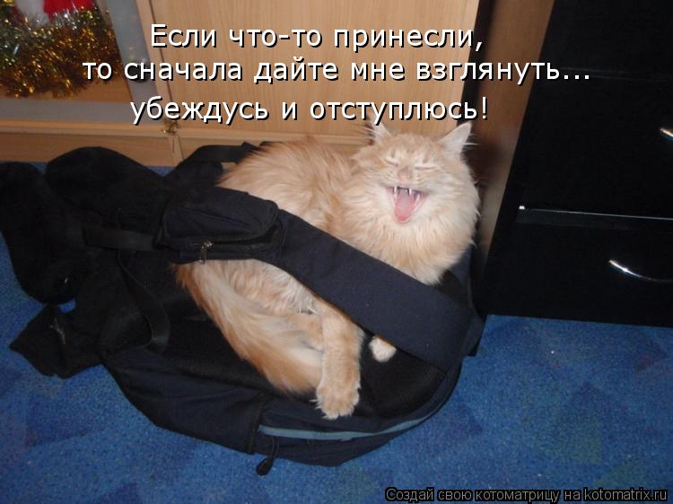 Котоматрица: Если что-то принесли, то сначала дайте мне взглянуть... убеждусь и отступлюсь!