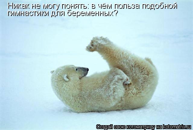 Котоматрица: Никак не могу понять: в чём польза подобной  гимнастики для беременных?