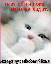 Котоматрица: гызу ногти,пока мама не видит...