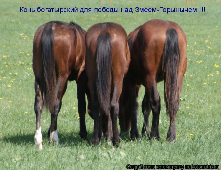 Котоматрица: Конь богатырский для победы над Змеем-Горынычем !!!