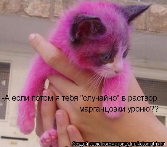 Котоматрица: -А если потом я тебя "случайно" в раствор  марганцовки уроню??