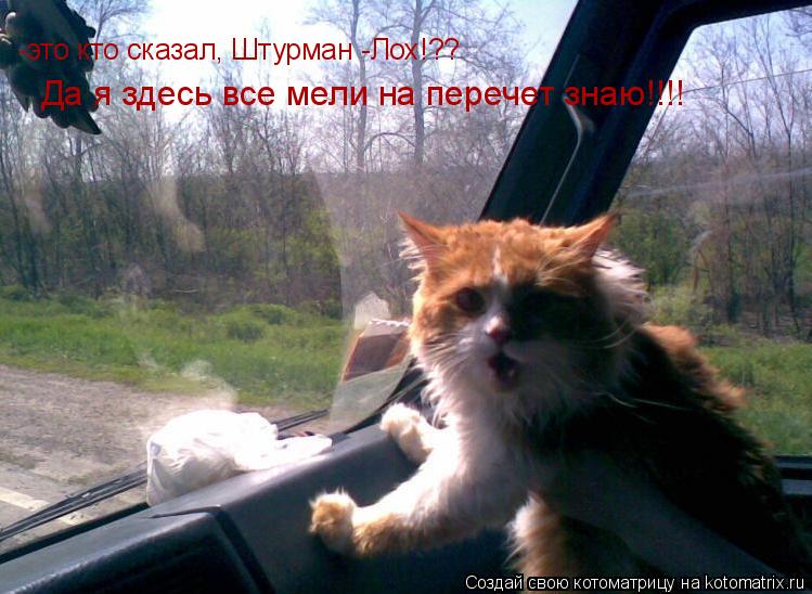 Котоматрица: -это кто сказал, Штурман -Лох!?? Да я здесь все мели на перечет знаю!!!!