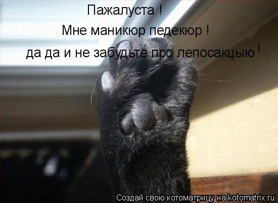 Котоматрица: Мне маникюр педекюр ! да да и не забудьте про лепосакцыю  ! ! Пажалуста