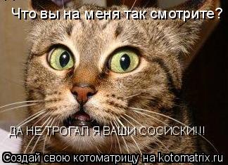 Котоматрица: Что вы на меня так смотрите? ДА НЕ ТРОГАЛ Я ВАШИ СОСИСКИ!!!