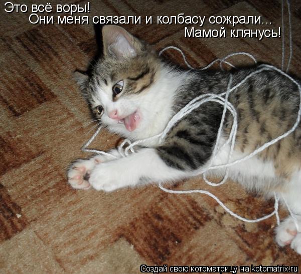 Котоматрица: Это всё воры! Они меня связали и колбасу сожрали... Мамой клянусь!