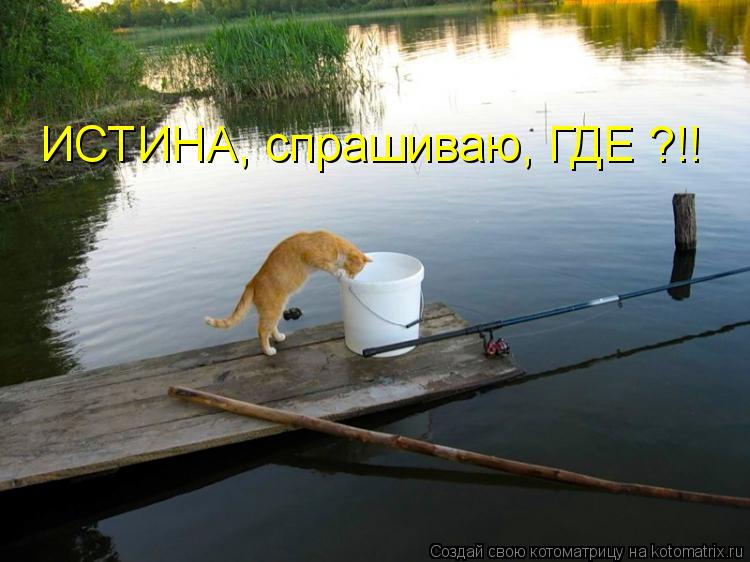 ИСТИНА, спрашиваю, ГДЕ ?!!... Котоматрица: ИСТИНА, спрашиваю, ГДЕ ?!!