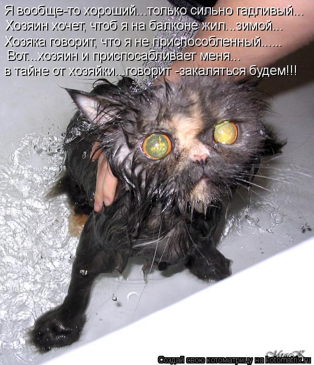 Котоматрица: Я вообще-то хороший...только сильно гадливый... Хозяин хочет, чтоб я на балконе жил...зимой... Хозяка говорит, что я не приспособленный...... Вот...