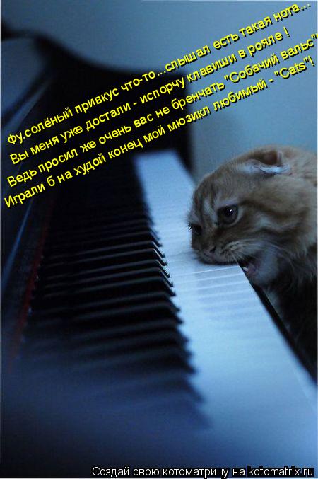 Котоматрица: Фу.солёный привкус что-то...слышал есть такая нота... Вы меня уже достали - испорчу клавиши в рояле ! Ведь просил же очень вас не бренчать "Соба