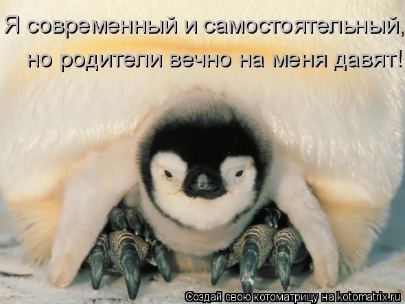 но родители вечно на меня давят! Я современный и самостоятельный,... Котоматрица: но родители вечно на меня давят! Я современный и самостоятельный,