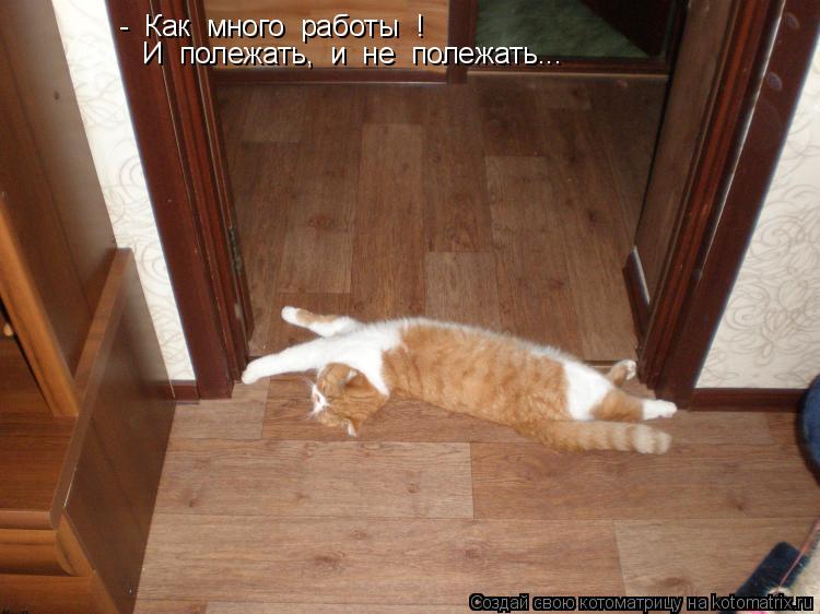 Котоматрица: -  Как  много  работы  !  И  полежать,  и  не  полежать...